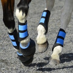 Horse Leg Protection