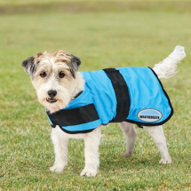 Weatherbeeta therapy-tec cooling dog coat