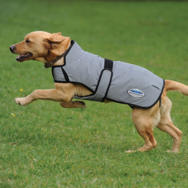 weatherbeeta comfitec reflective dog coat