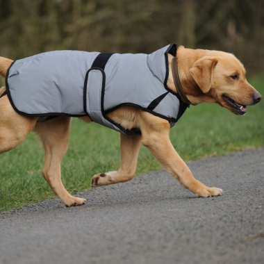 weatherbeeta comfitec reflective dog coat