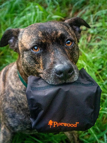 Pinewood Dog Sports Treat bag