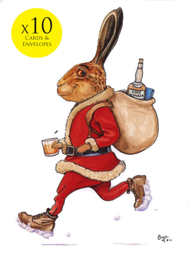 Bryn Parry christmas card pack (10) - Hare Restorer
