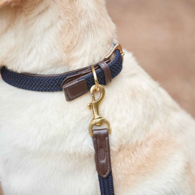 WEATHERBEETA leather plaited dog lead
