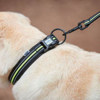SALE - Weatherbeeta reflective dog collar