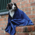 Weatherbeeta dog towel