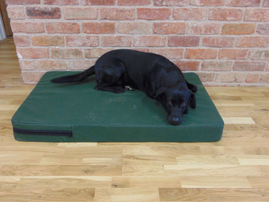 The Winslow dog bed