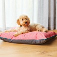 WEATHERBEETA waterproof pillow dog bed