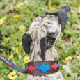 WEATHERBEETA lurcher polo leather dog collar