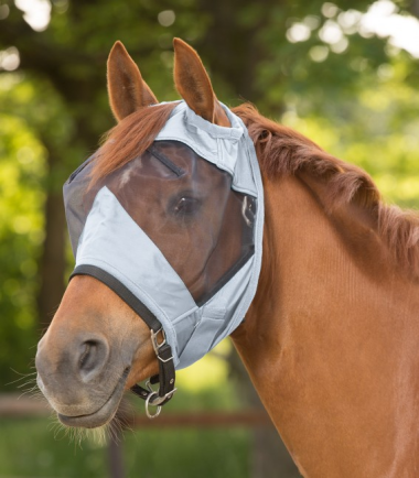 Premium Fly Mask Without Ears