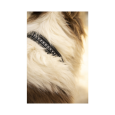 Penelope Leather dog collar