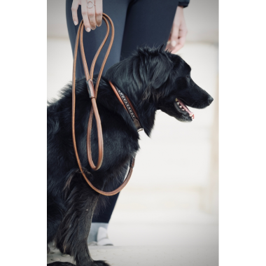Penelope leather dog leash
