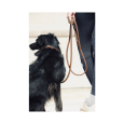 Penelope leather dog leash